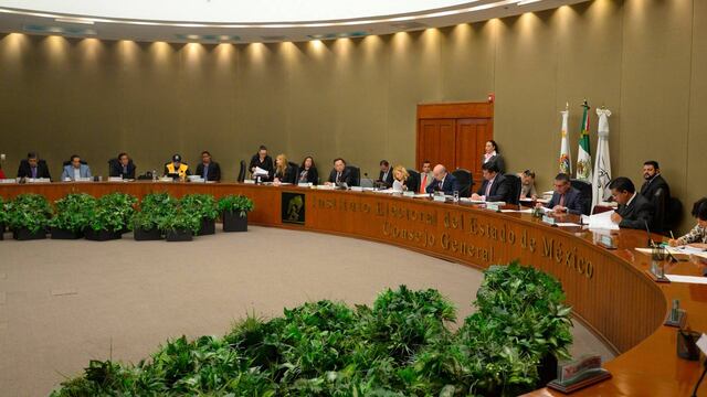 IEEM. Llamado al voto.