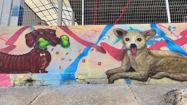 Infonavit fomenta el arte en Cuernavaca