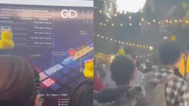 Significado de llevar patitos en la cabeza