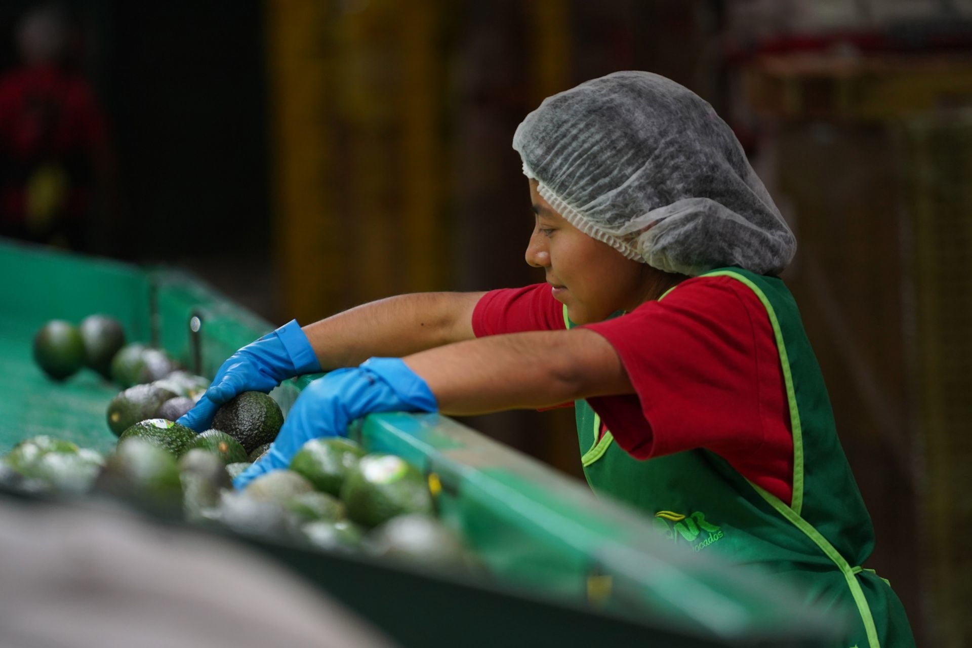 Aumento al salario mínimo: Coparmex sugiere que sea del 12%
