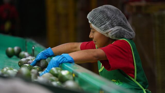 Aumento al salario mínimo: Coparmex sugiere que sea del 12%