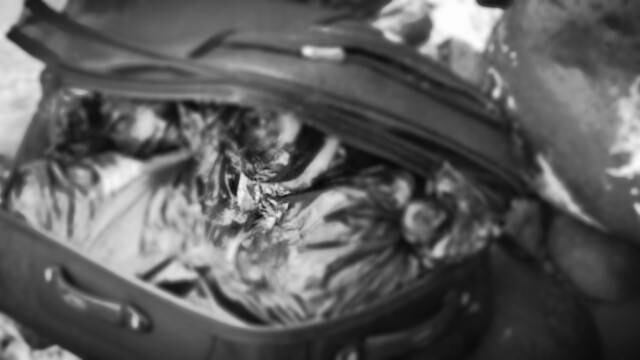 Maleta con restos humanos en Boca del Río, Veracruz