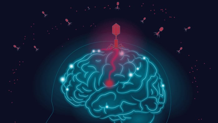 La Arizona State University (ASU) realiza importantes avances en el estudio del Alzheimer.