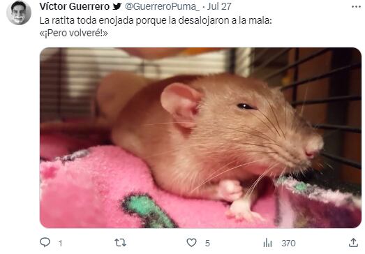 Meme por la rata que interrumpió función de Barbie