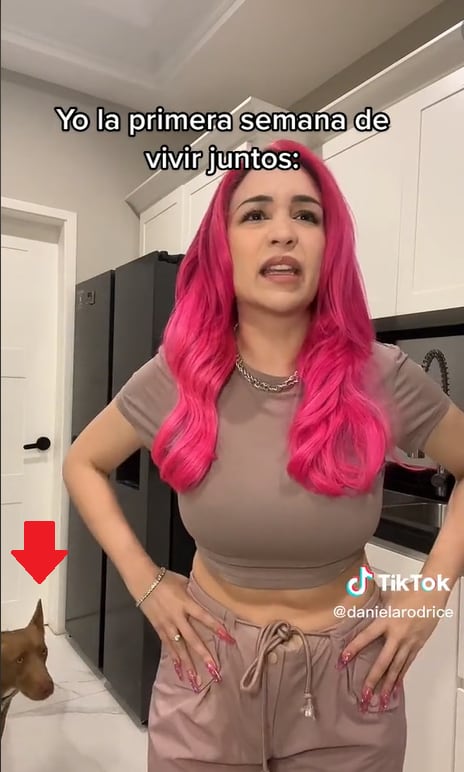 Aparece Lunna, la perrita del sugar de Daniela Rodrice.