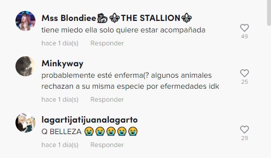 Comentarios sobre el hombre que ayuda a un coyote