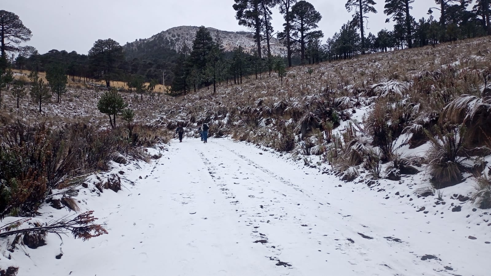 Pico de Orizaba cubierto de nieve
