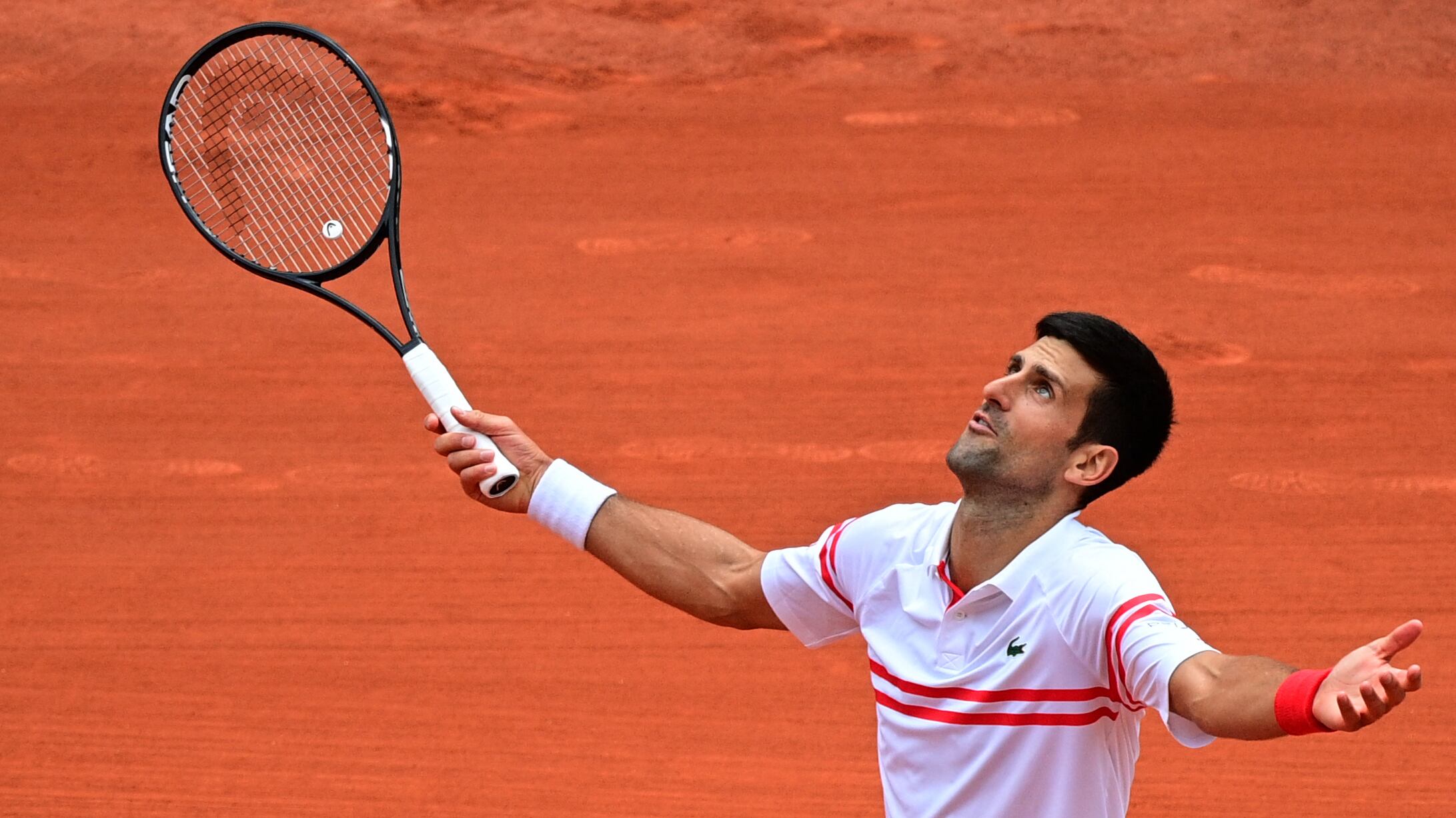 Novak Djokovic posee el 80 por ciento de una empresa que desarrolla tratamiento contra el Covid
