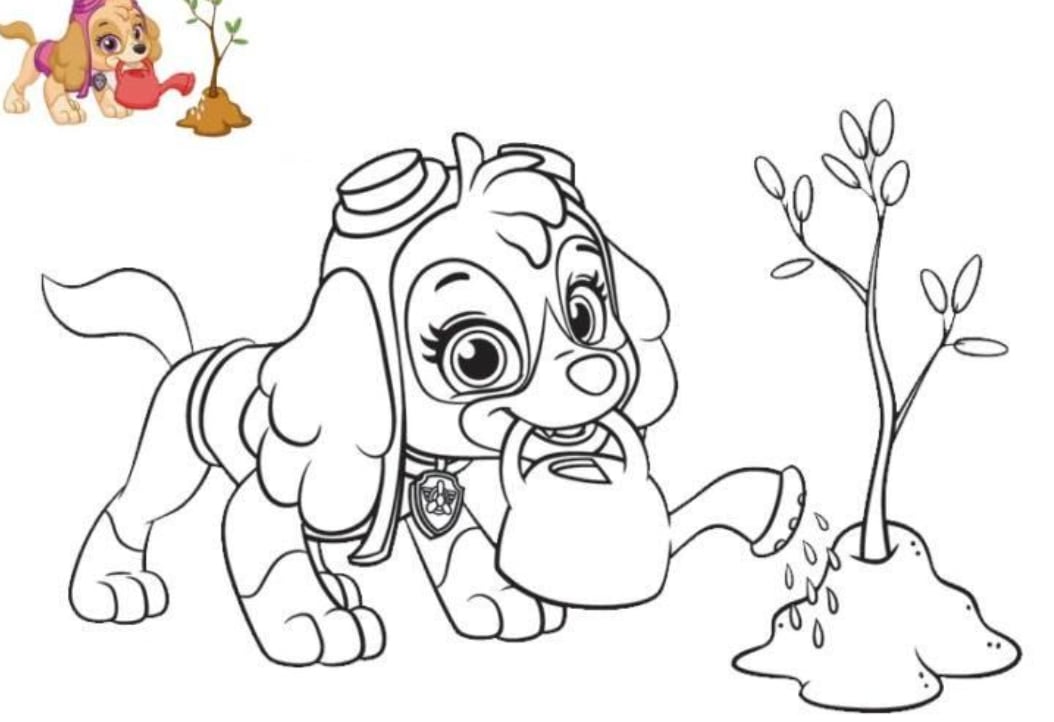 Sky de Paw Patrol de primavera plantando un árbol