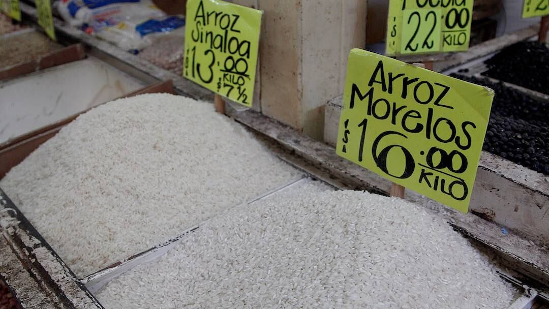 arroz