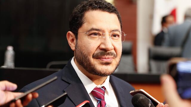 Senador Martí Batres.