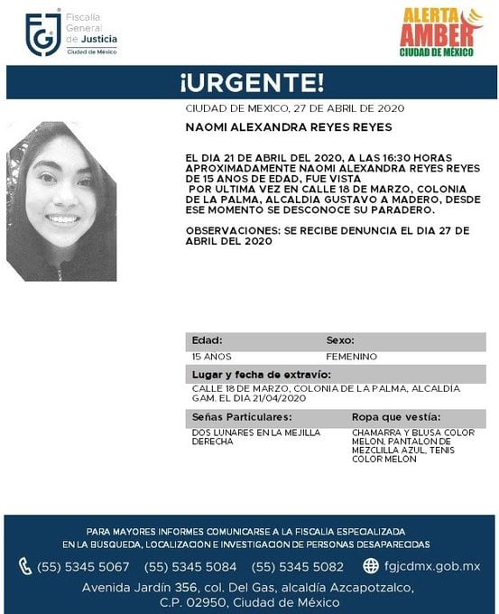 Ficha de búsqueda de Naomi.