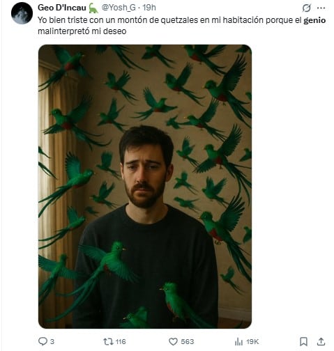 Memes del genio malinterpretó mi deseo