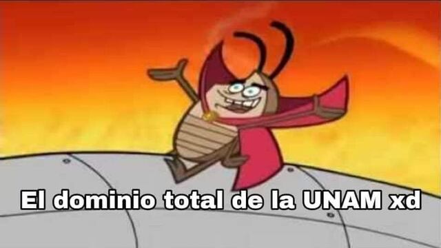 Plaga de chinches de la UNAM en CDMX desata los memes ansiosos de usuarios