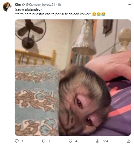 Memes por la canción que Rauw Alejandro dedicó a Rosalía