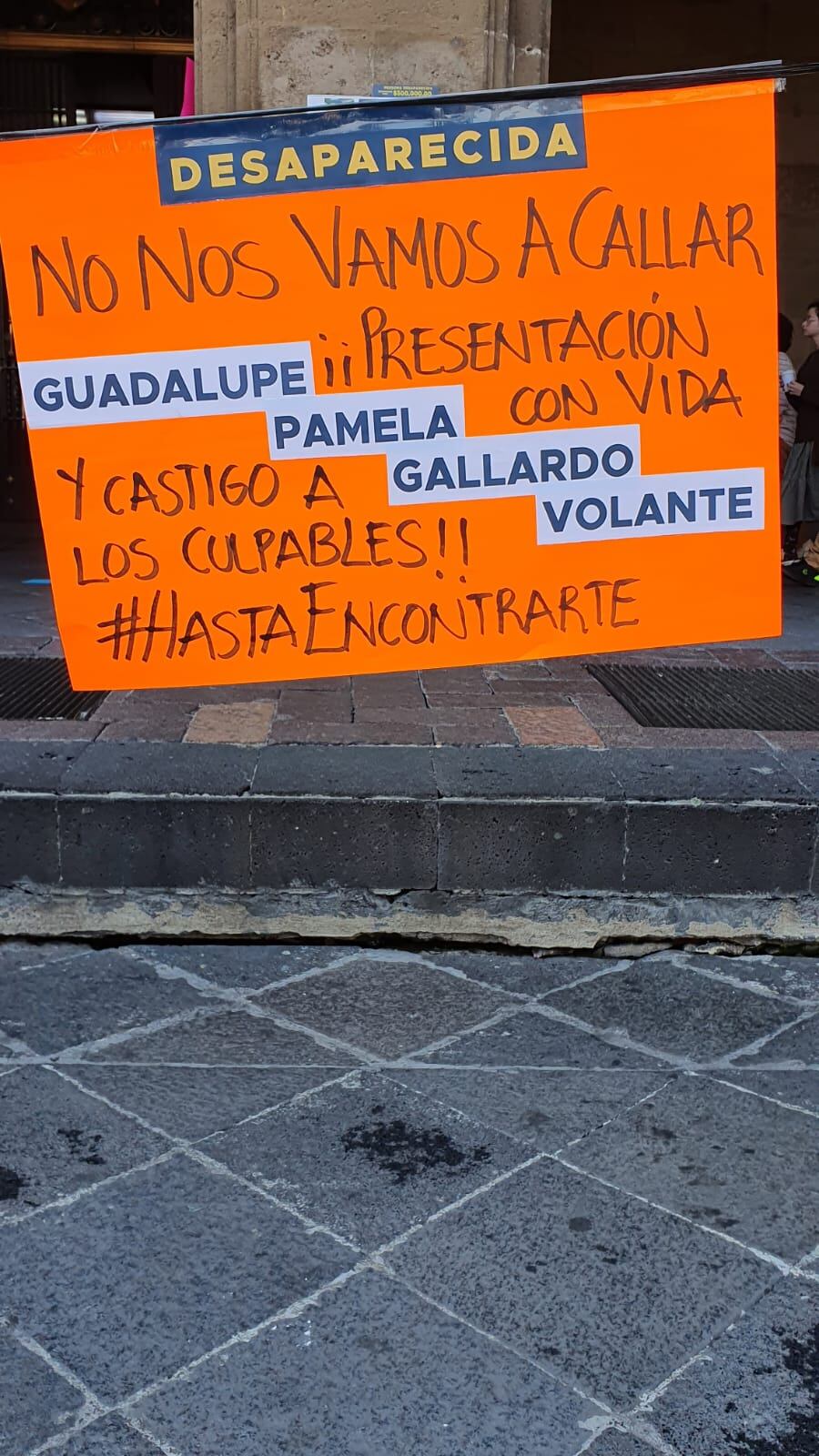 Protesta a 5 años sin Pamela Gallardo