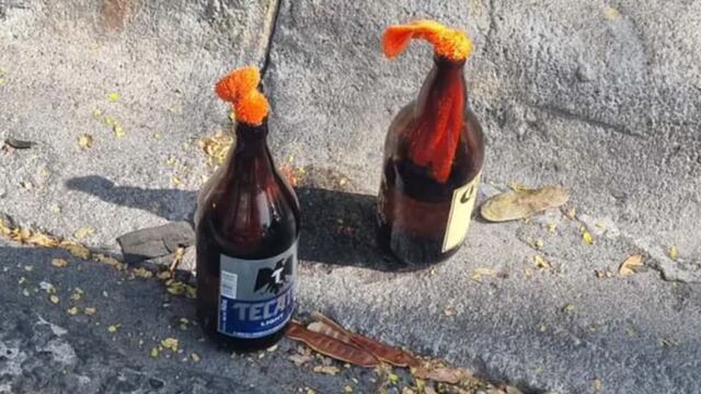 Bombas Molotov de caguamas en San Pedro Garza