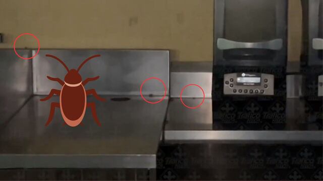 Cucarachas en Cinépolis