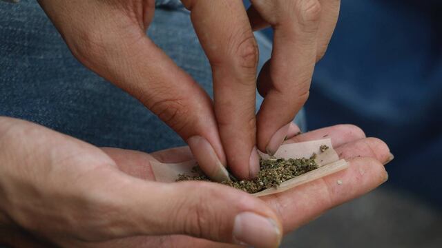 Cannabis. Permisos para fármacos.