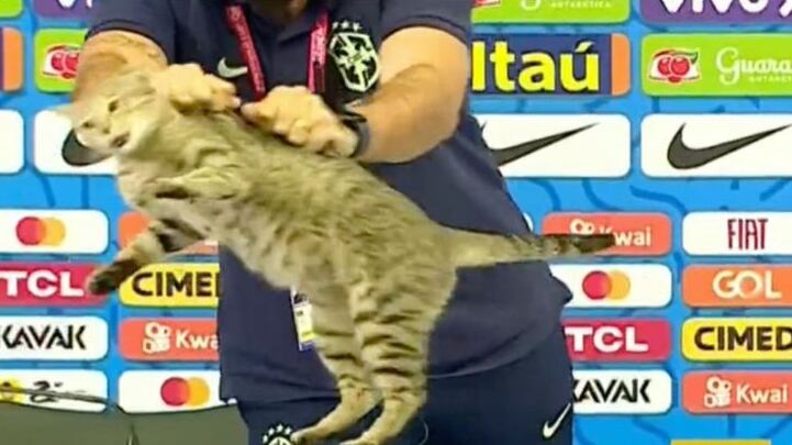 La Selección de Brasil fue víctima de "la maldición del gato".