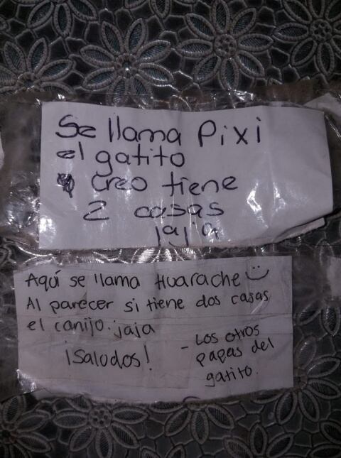 Mensajes de las dos familias de "Pixi".