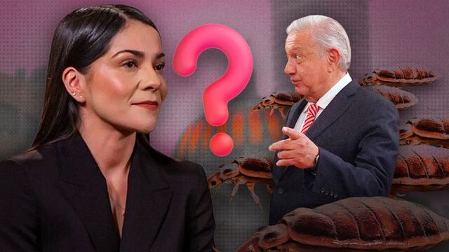 Gobierno de AMLO niega plaga de chinches