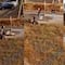 Difunden video donde policías disparan contra perros durante intento de detención en España
