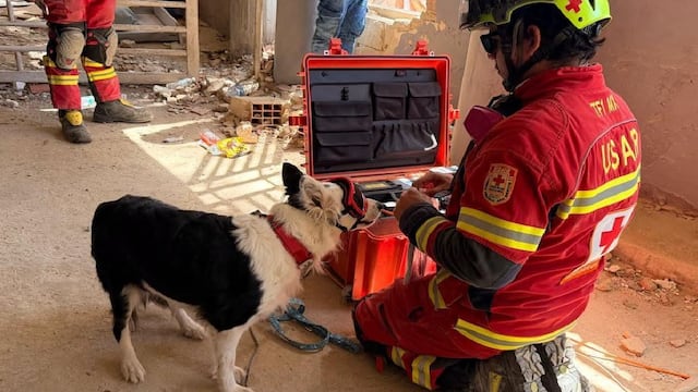 Halley, la perrita rescatista, regresa a México tras su misión en Venezuela