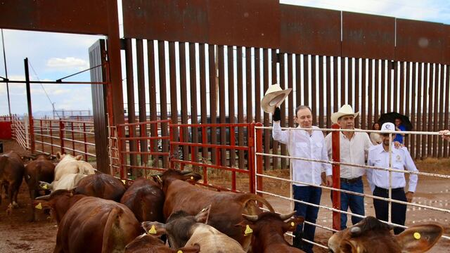 Alfonso Durazo: Sonora, primer estado en reanudar exportación de ganado a EU