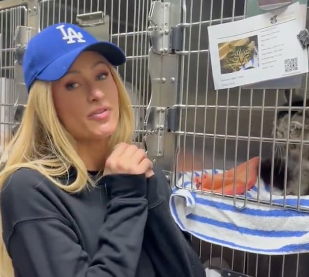 Paris Hilton perdió su casa en incendios de California y ya anda rescatando animales