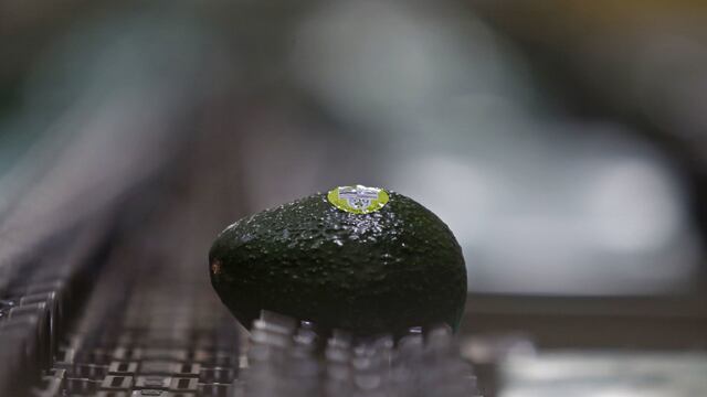 Conflicto con Estados Unidos por aguacate