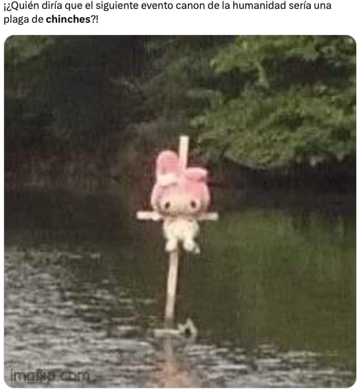 Plaga de chinches de la UNAM en CDMX desata los memes ansiosos de usuarios