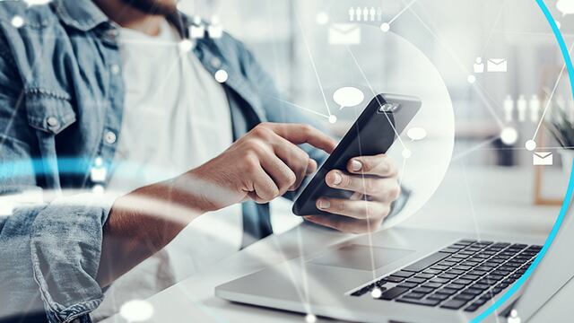 Tumba - burros digital