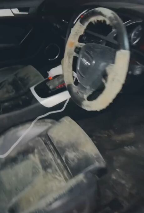 Crece moho en el interior de su coche