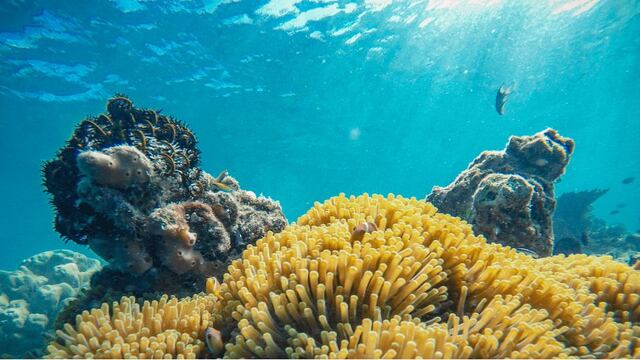 AJEMEX refuerza su compromiso ambiental