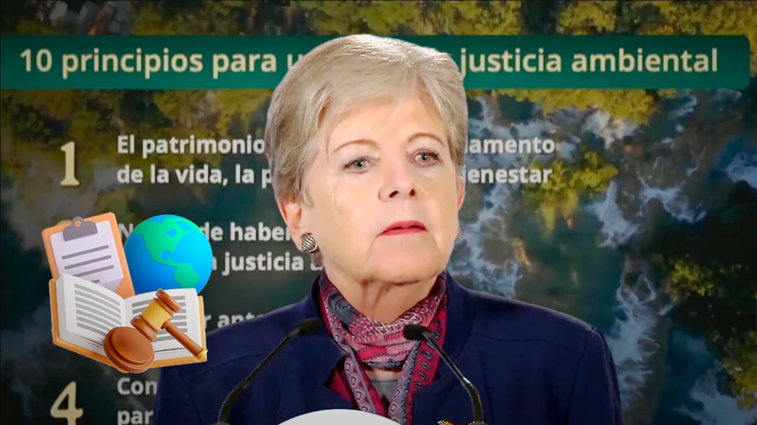 Los 10 principios detrás de la nueva ley ambiental de Alicia Bárcena