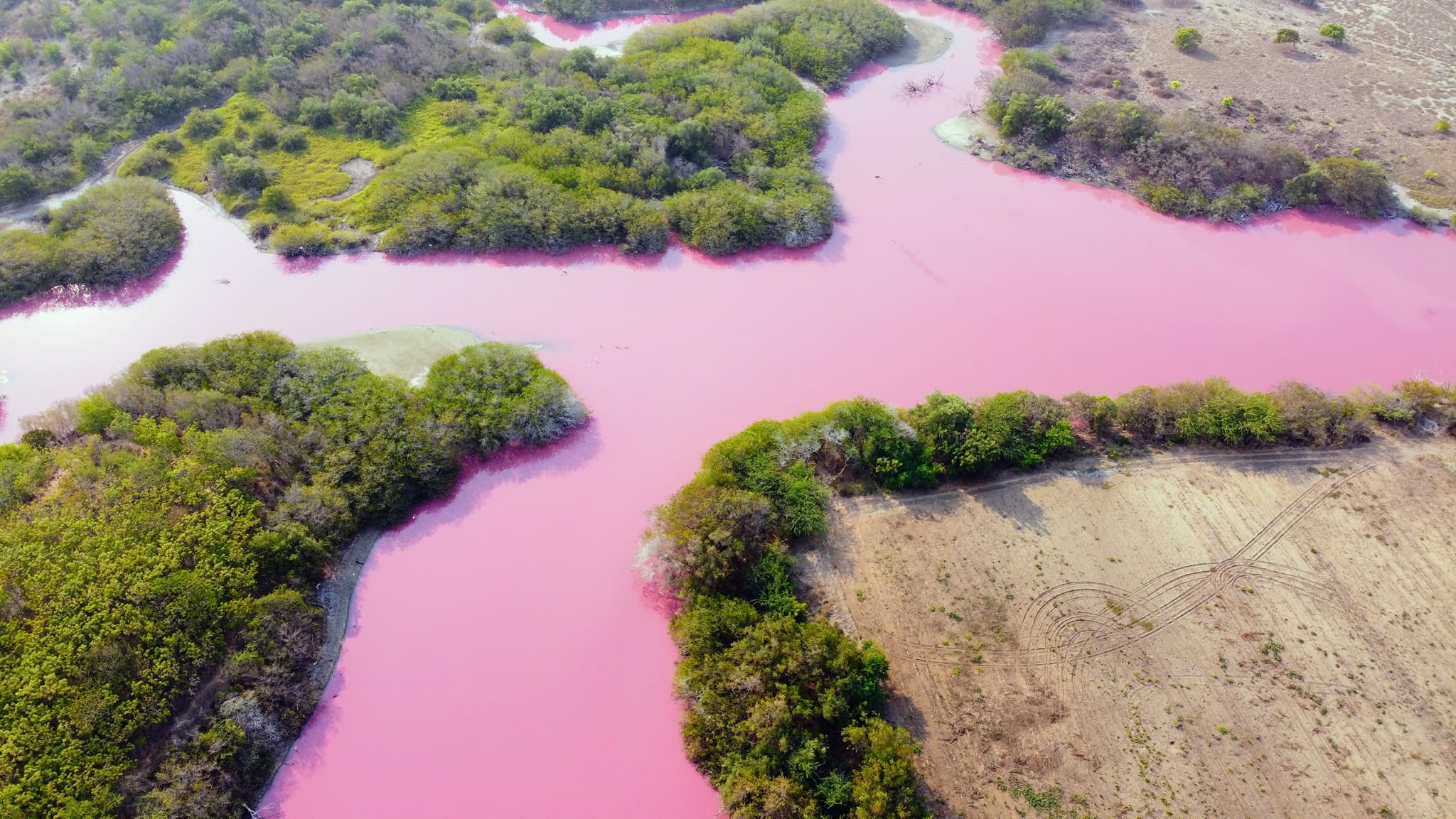 La laguna "La Salina" se pinta de rosa en Oaxaca/Esau Zavaleta MX