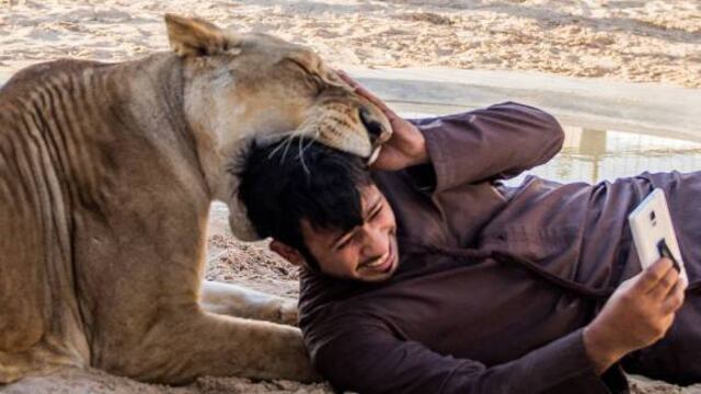 ¿A favor o en contra?