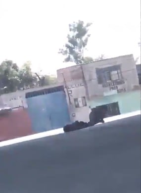 Cadáver en Apaseo el Grande/Tomada de video