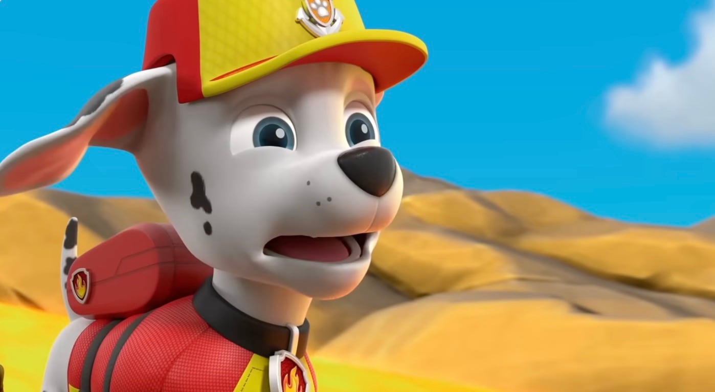 Paw Patrol por Día Internacional del Surf