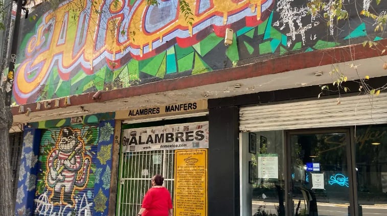 Multiforo Alicia