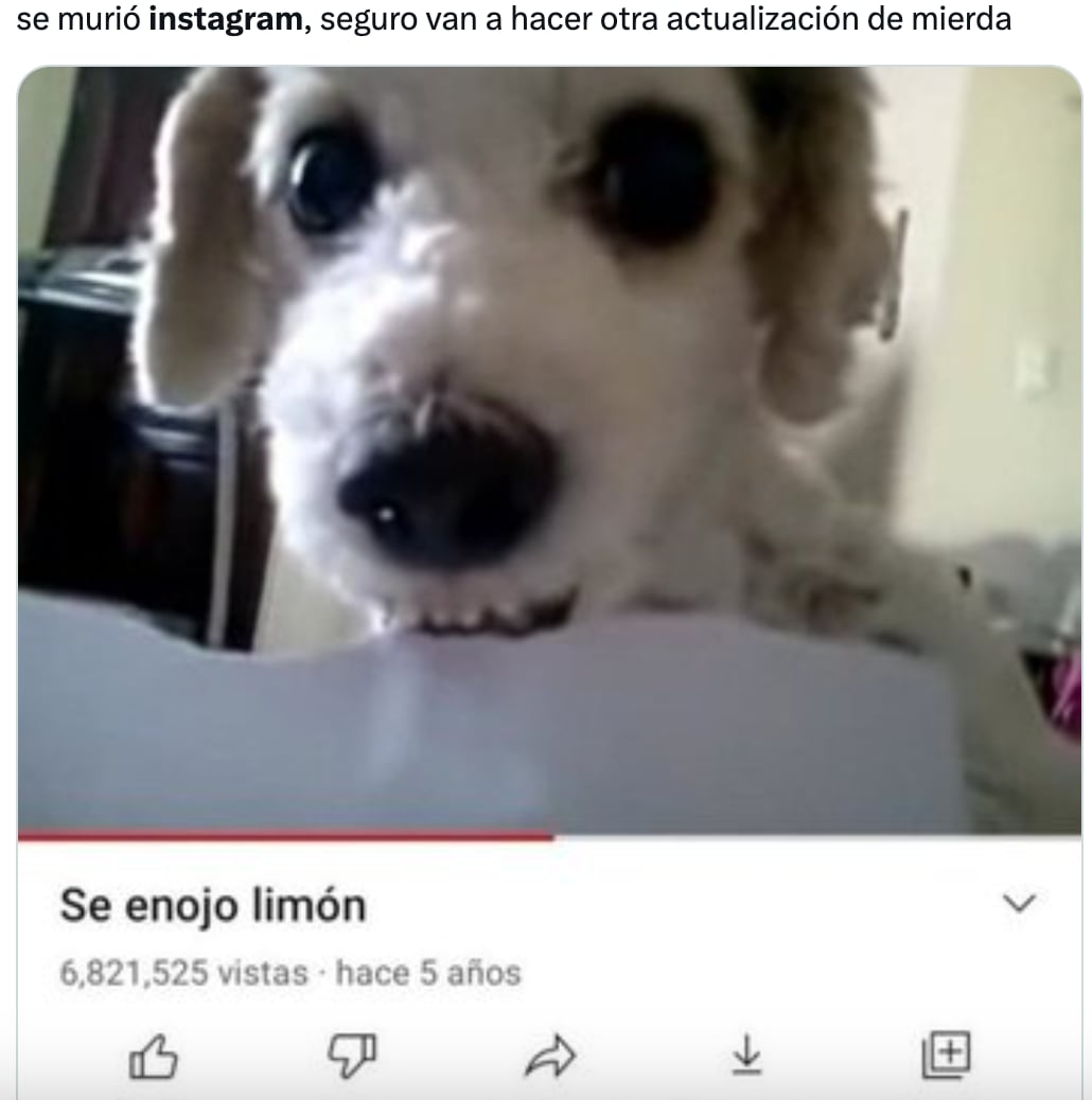 Memes de la caída de Instagram