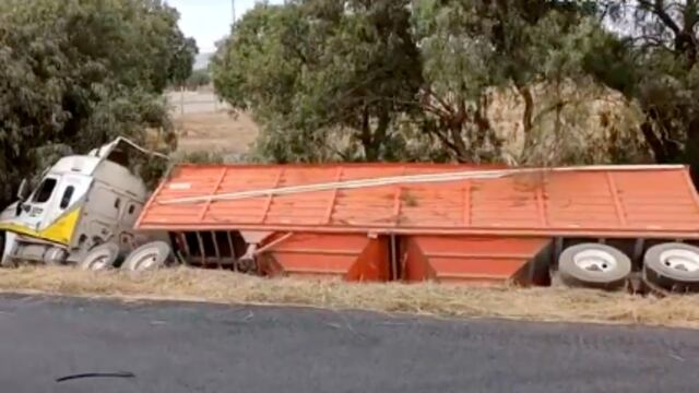 Tráiler cargado con cebada sufre volcadura cerca de Acolman en la autopista México-Pirámides