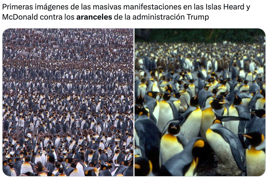 Los memes sobre los aranceles a pingüinos por Donald Trump