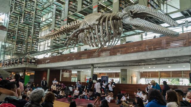 Biblioteca Vasconcelos