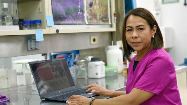 Investigan en la BUAP el envejecimiento celular