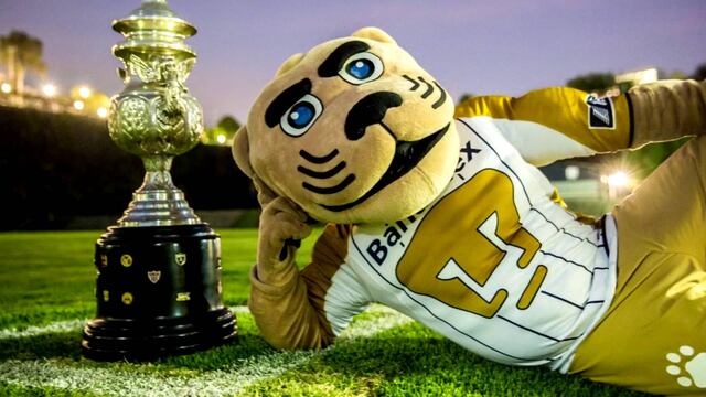 Pumas