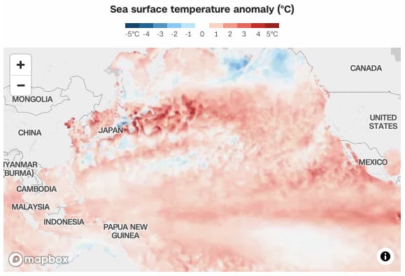 El Niño se desarrolla más rápido de lo previsto en el Pacífico