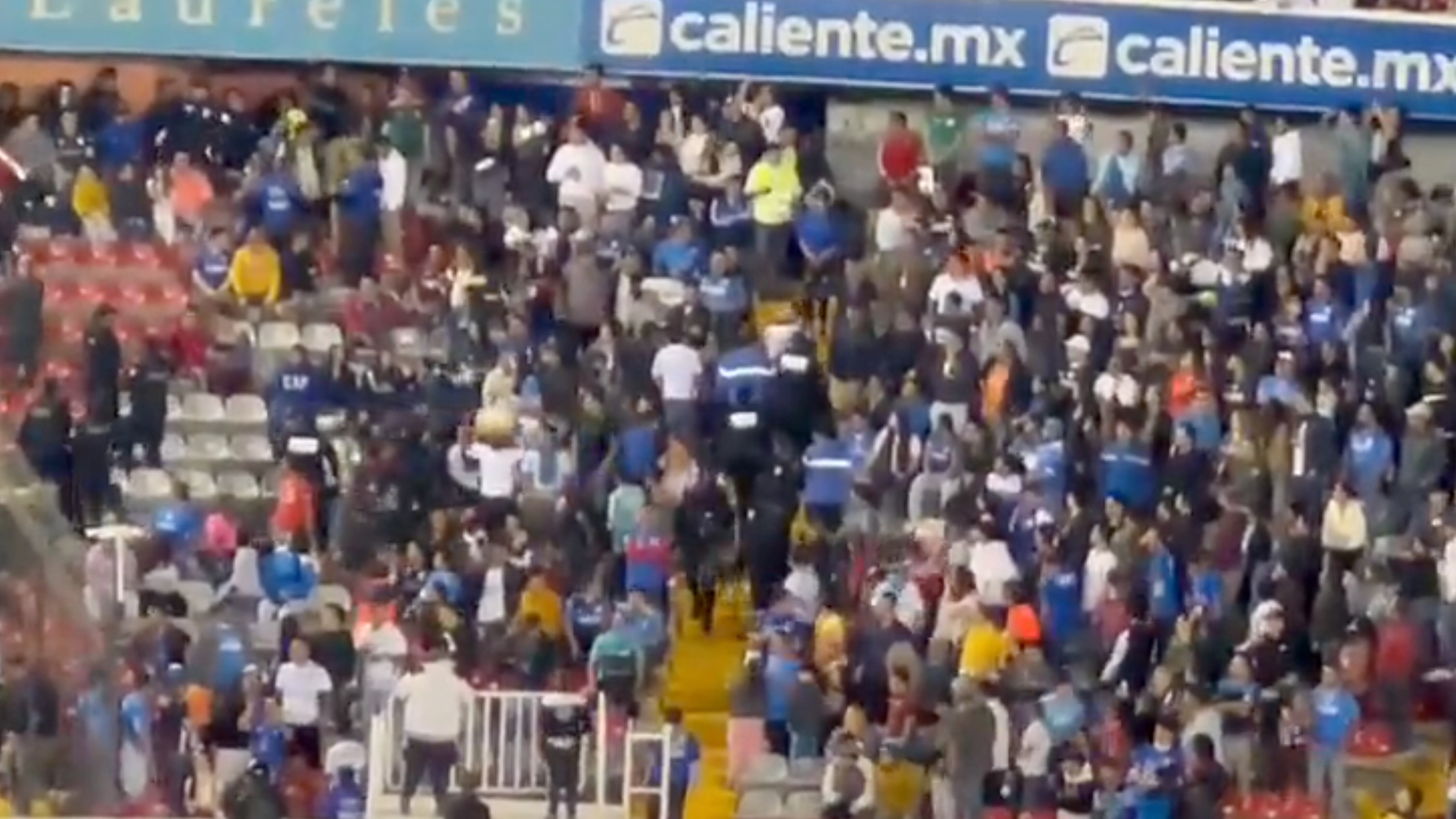 Otra vez hay violencia en La Corregidora; captan pelea en partido del Club Querétaro