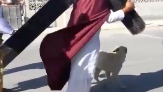 Perro Jesus